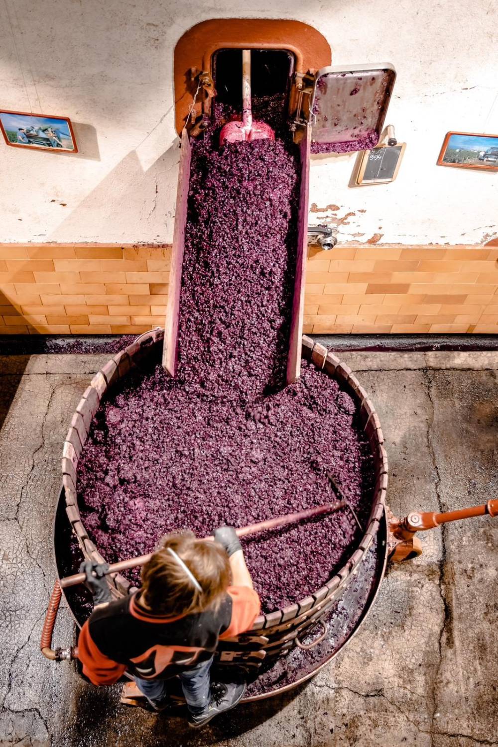 dégustation de vin à Pauillac