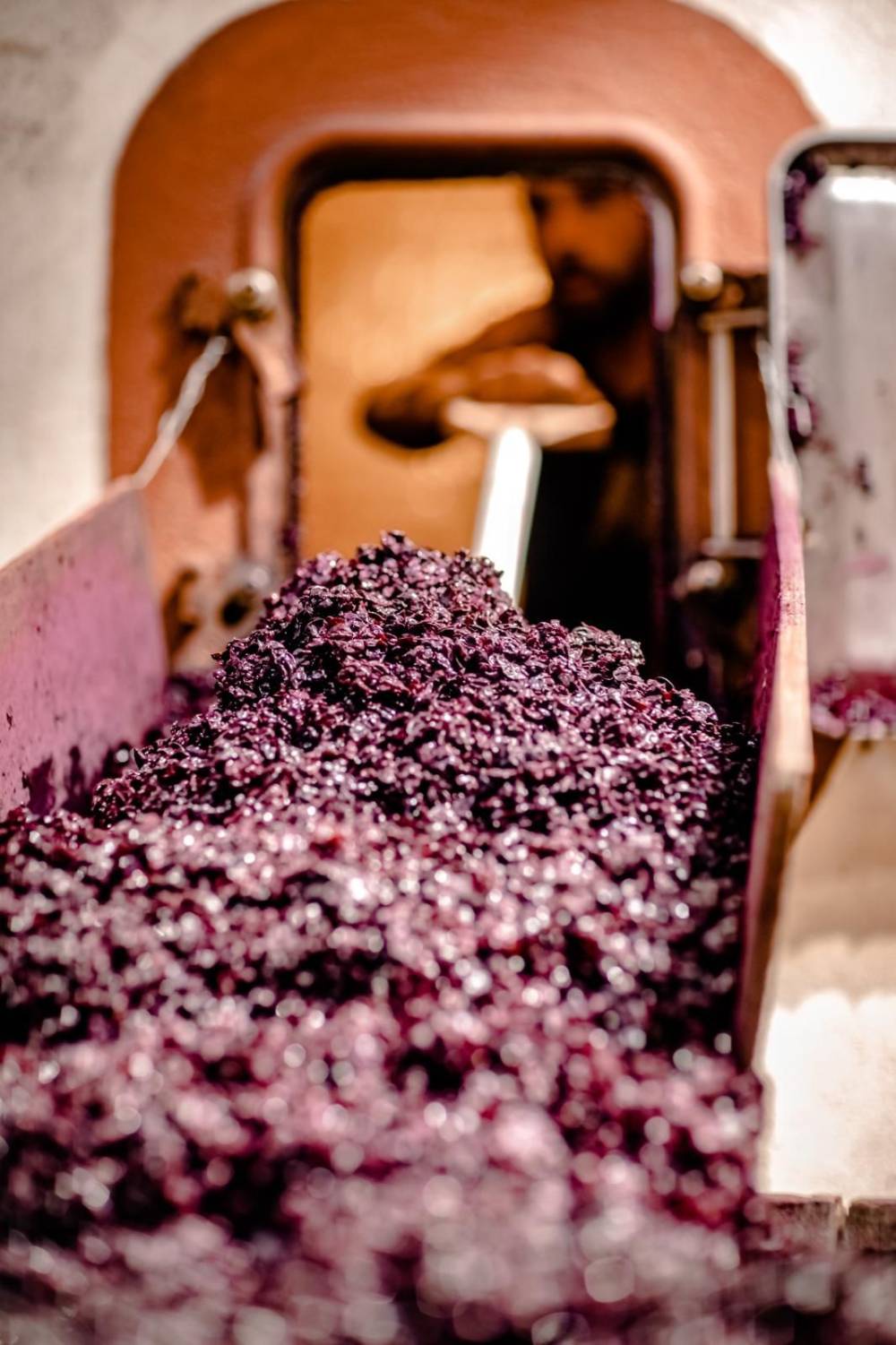 grand vin de bordeaux à Pauillac