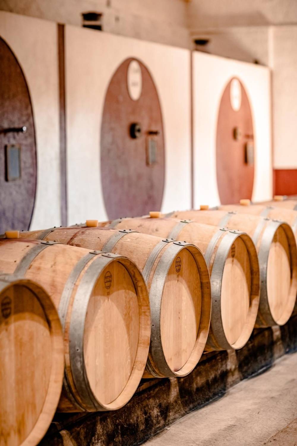 vins à Pauillac