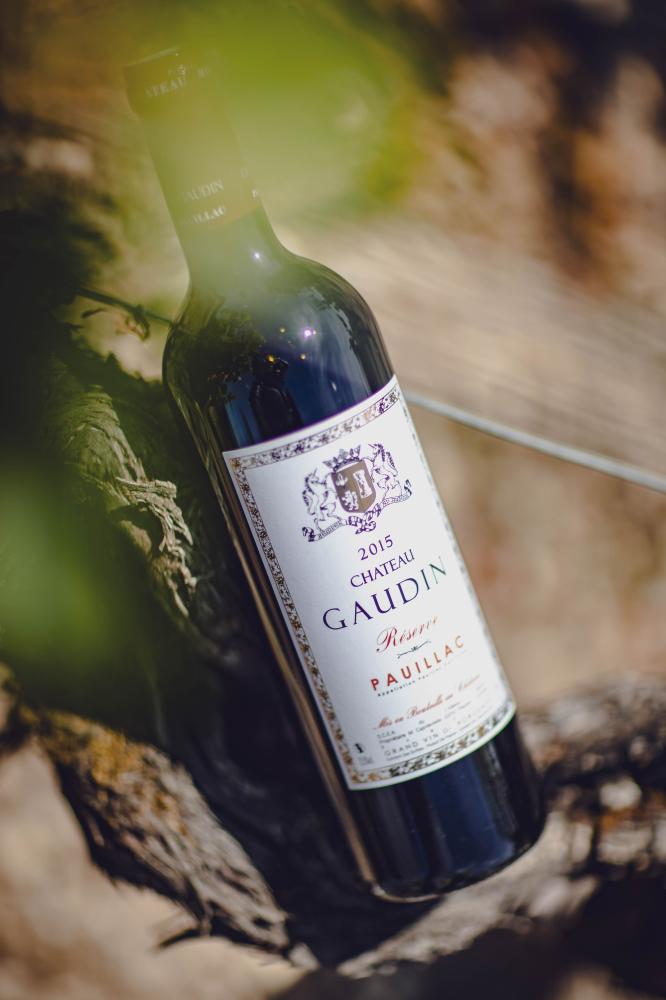 Ch.Gaudin20